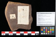 Foto (Objekt + Etikett) von Sclerotium sapotacitidis Ettingshausen (NHMW-GEO-2024-0188-0091)